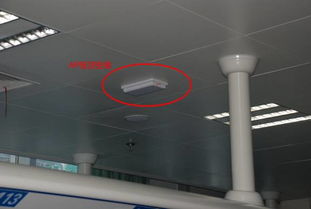 新华三集团推出全新H3C技术服务，引领数字化转型新浪潮